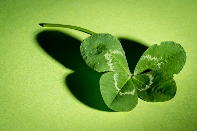 Clover Health Stock