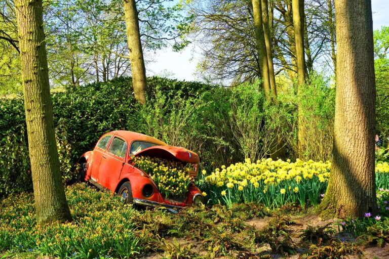 Volkswagen (VW): Driving Towards a Sustainable Automotive Future