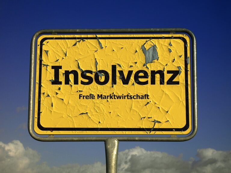 Bankruptcy and Chapter 11